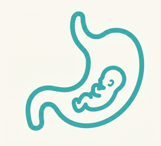 Gastrointestinal Cancer