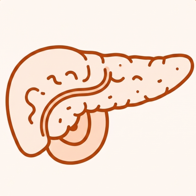 Pancreatic & Hepatobiliary Cancers