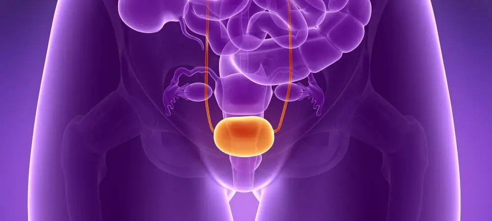 Genitourinary Cancer Treatment in Lucknow